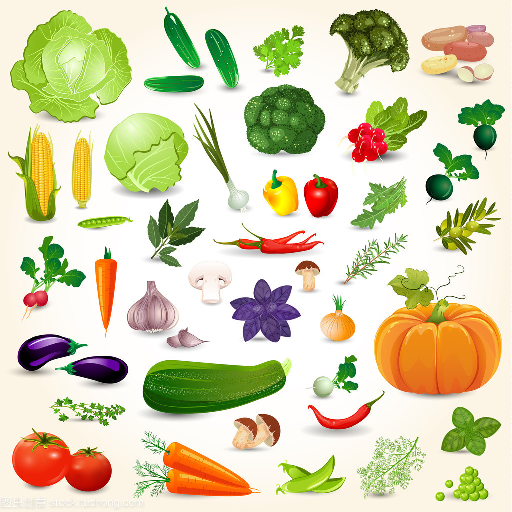 蔬菜、 药草和香料