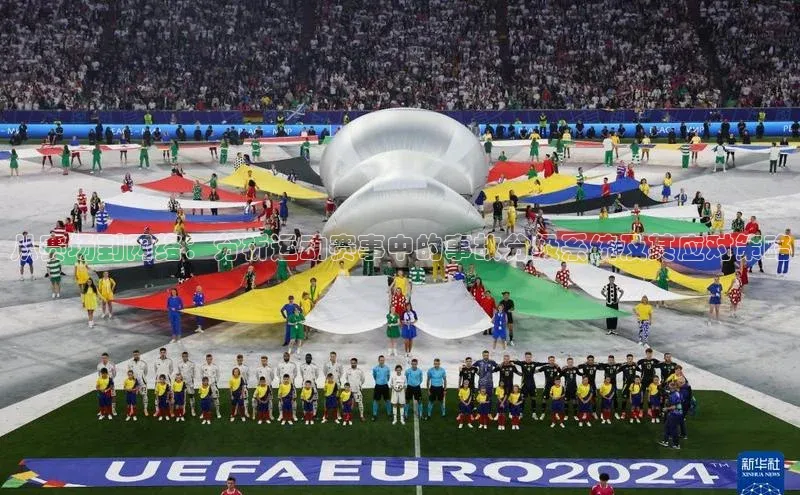 从赛场到网络：分析运动赛事中的事故分级系统及其应对策略