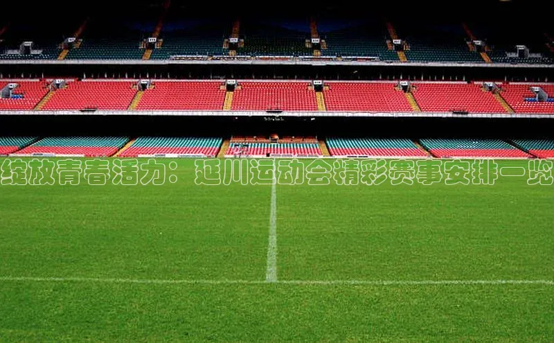 绽放青春活力：延川运动会精彩赛事安排一览