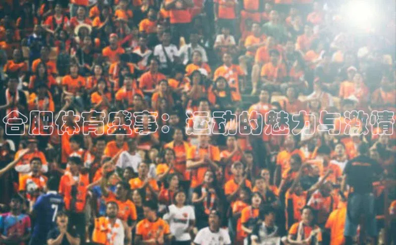 合肥体育盛事：运动的魅力与激情