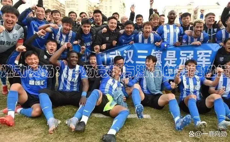 燃动赛场：一场竞技与激情的完美碰撞