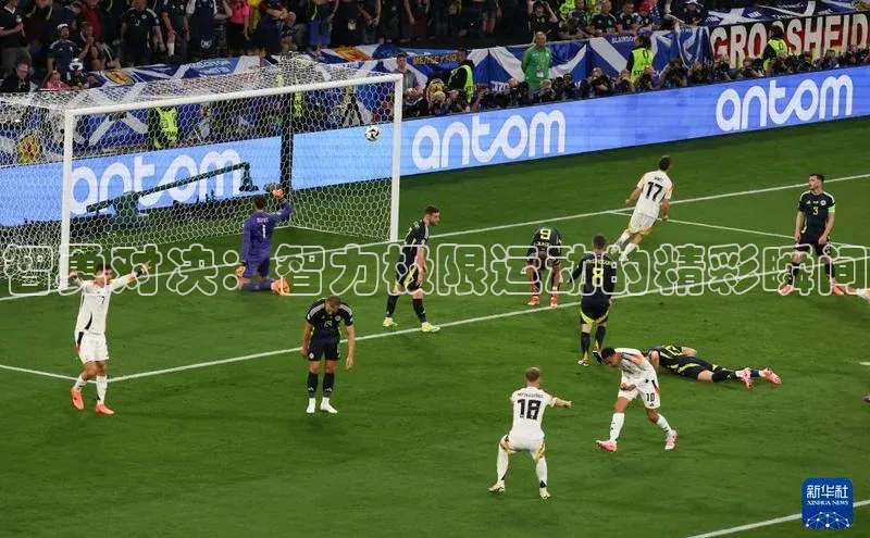 智勇对决：智力极限运动的精彩瞬间