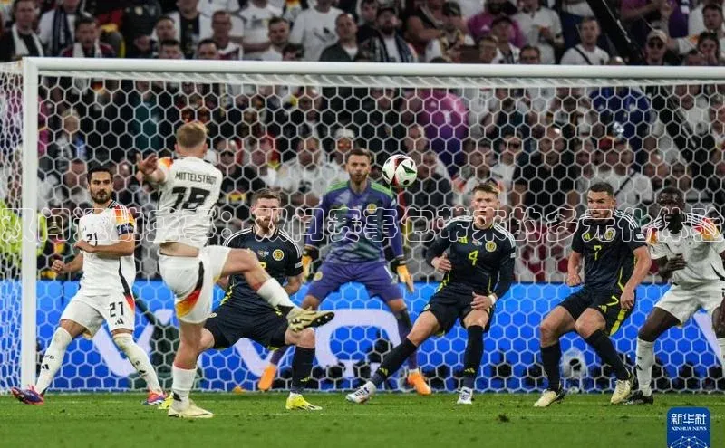 双间运动盛事：双间赛事包带来的多元化体验