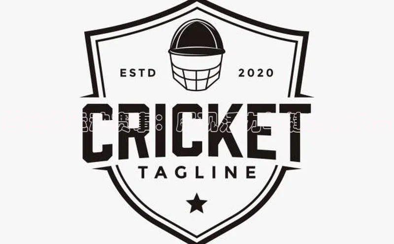 百色县运动赛事：展现活力与健康的舞台