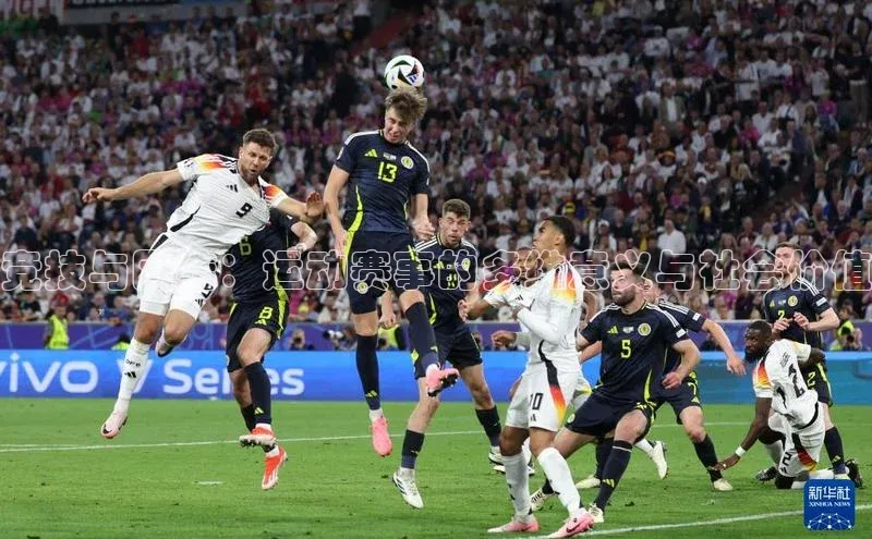 竞技与团结：运动赛事的多维意义与社会价值