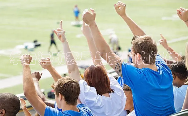 拳击运动赛果与影响力评估