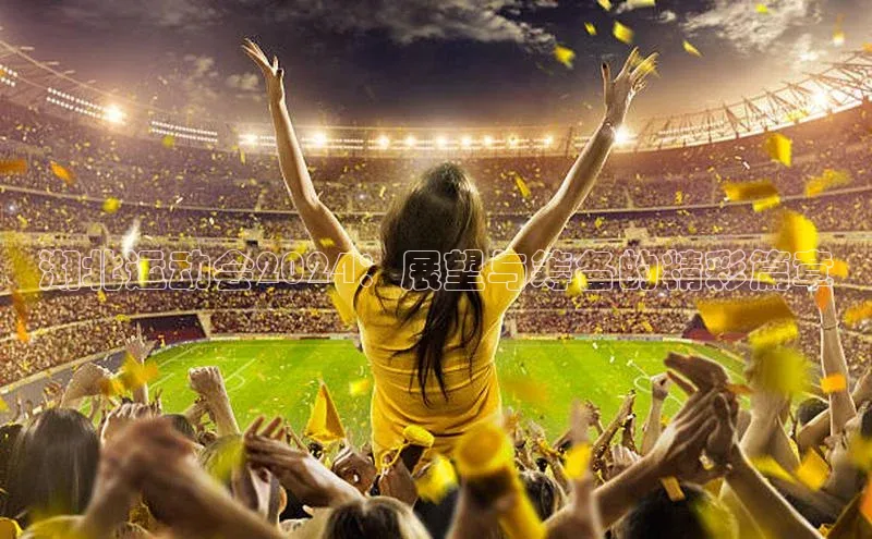 湖北运动会2024：展望与筹备的精彩篇章