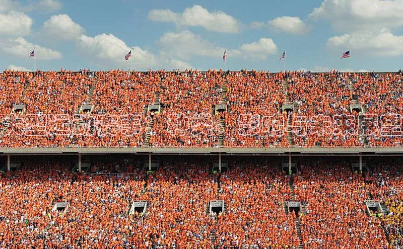 大型运动赛事：种类、影响与未来展望