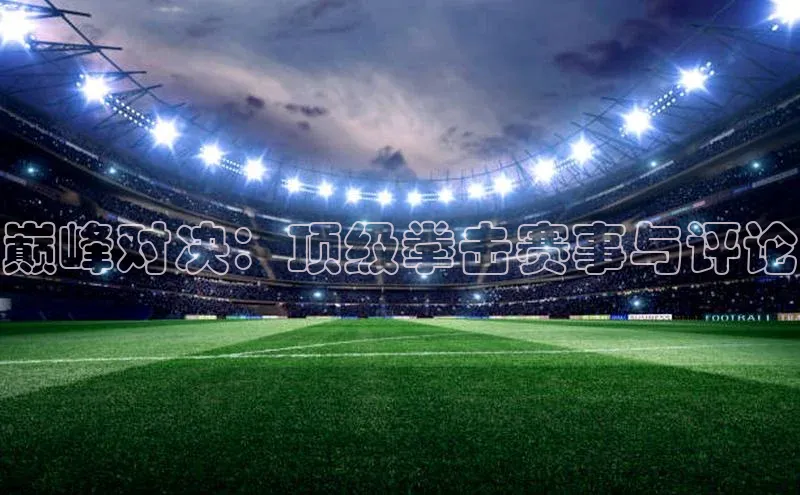 巅峰对决：顶级拳击赛事与评论