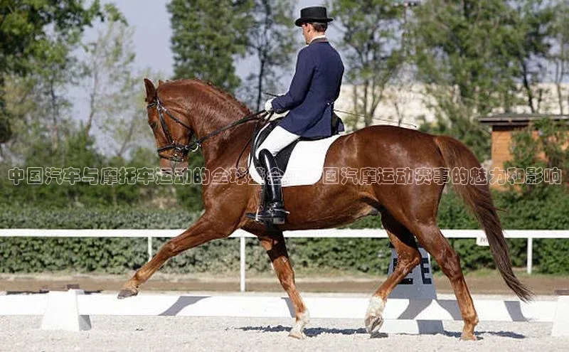 中国汽车与摩托车运动的全球盛会：中国汽摩运动赛事的魅力和影响