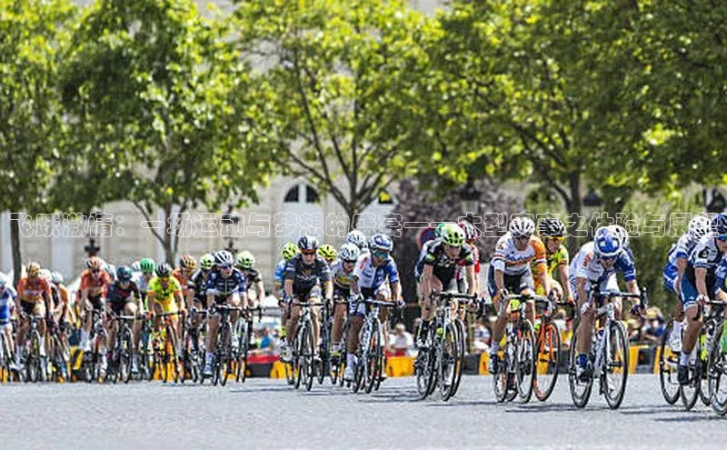 飞跃激情：一场运动与梦想的盛宴——大型赛事之体验与展望