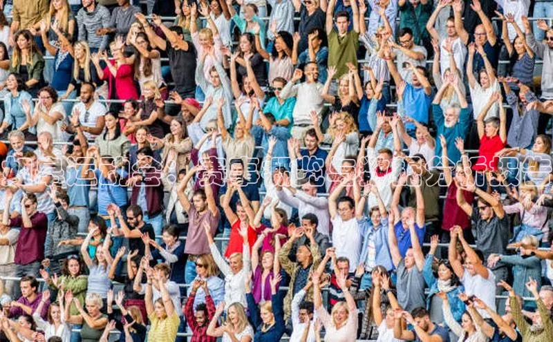 如皋运动会：赛事概览与数据分析报告