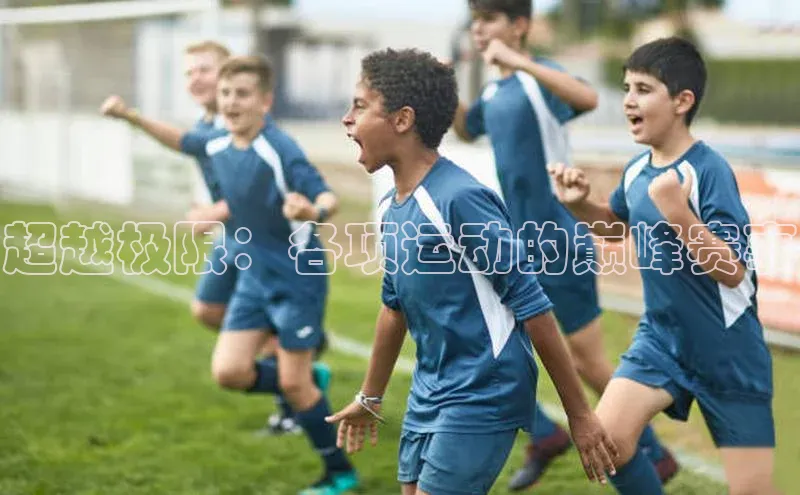 超越极限：各项运动的巅峰赛事