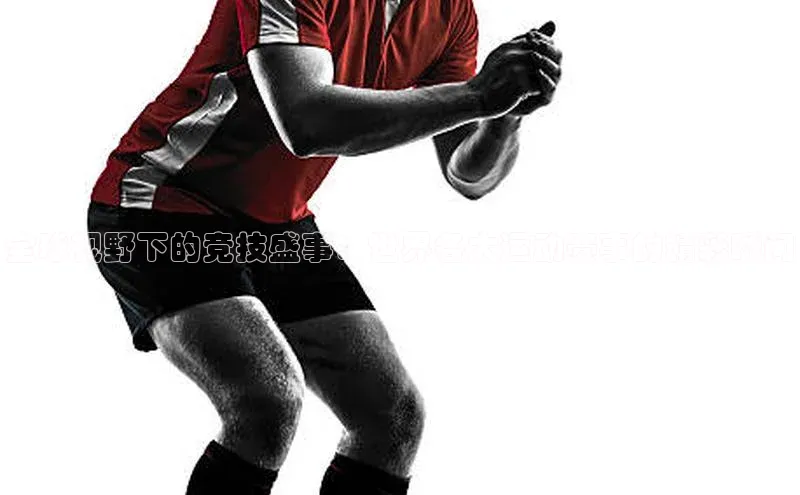 全球视野下的竞技盛事：世界各大运动赛事的精彩瞬间